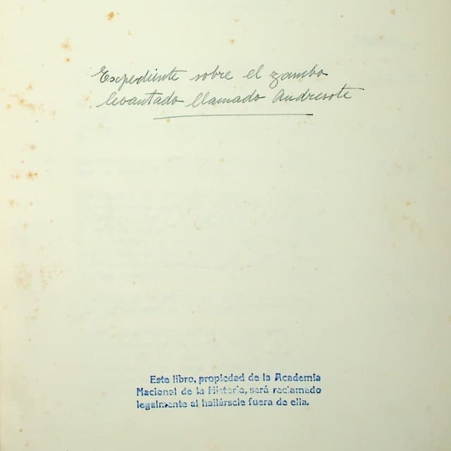 Expediente sobre el zambo levantado llamado Andresote. Tomo 1.
