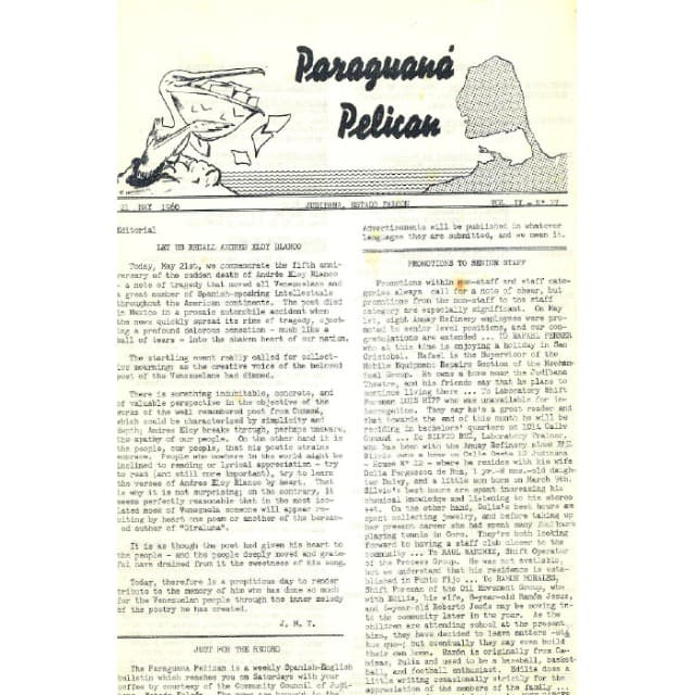 Pelicano de Paraguana - 21 May 1960