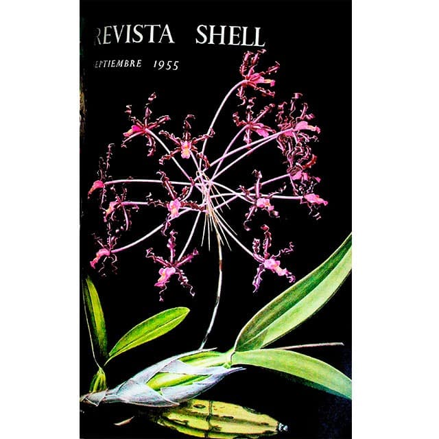 Revista Shell No. 16 septiembre 1955