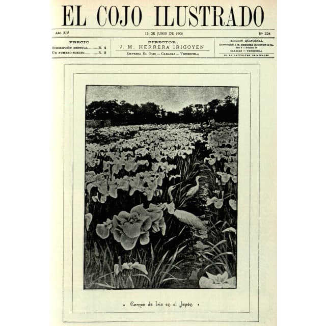 El Cojo Ilustrado N°324 El Cojo Ilustrado N°324
