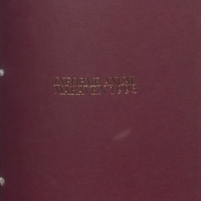 Informe anual 1993 Informe anual 1993
